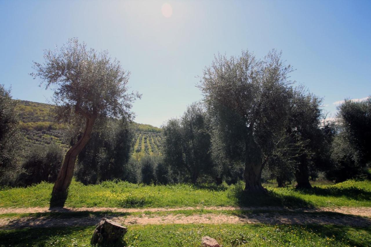 Masseria Procacci Ischitella Kültér fotó